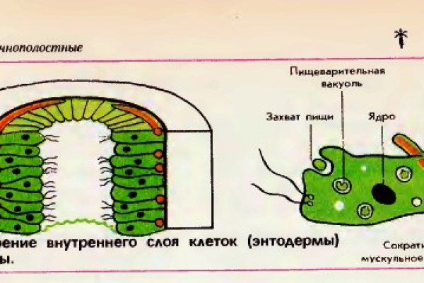 Кракен маркет дарнет только через тор