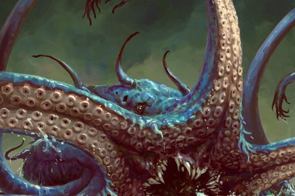 Kraken tor link